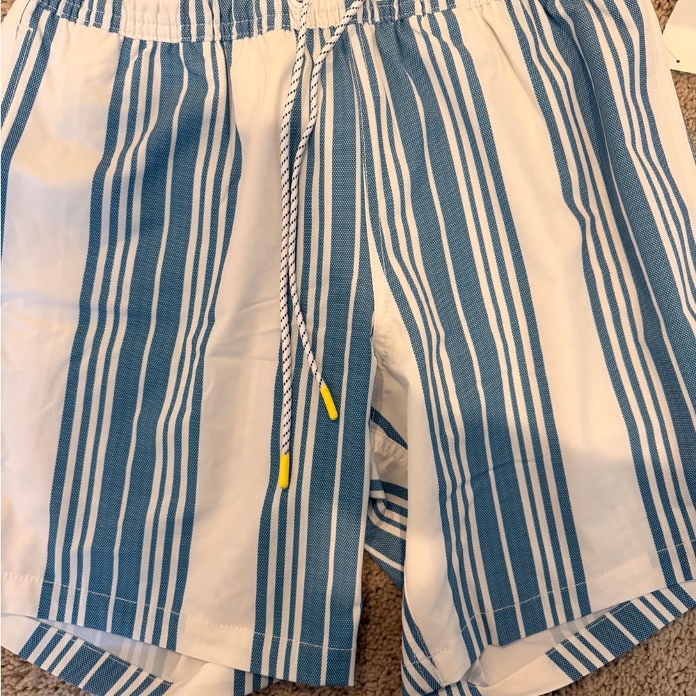 Bonobos Blue and White Striped Men’s Hybrid Shorts/ swim trunks